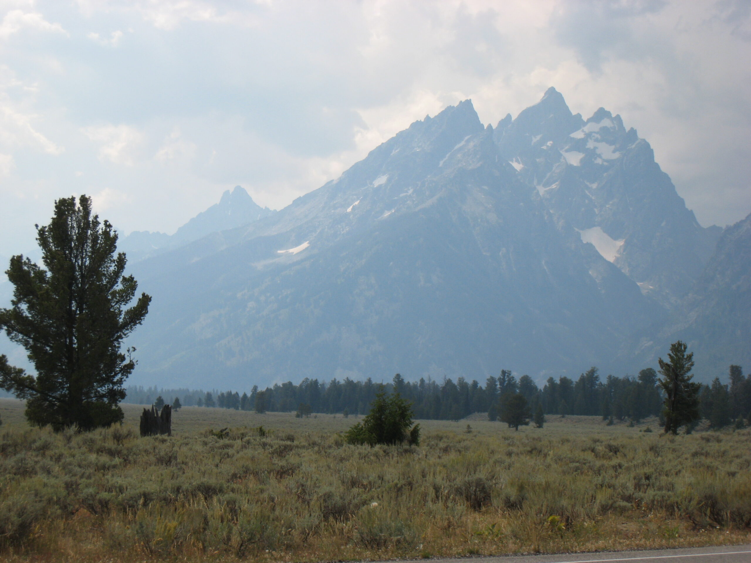 mountain-pose-sanskrit-term-tadasana-better-day-yoga