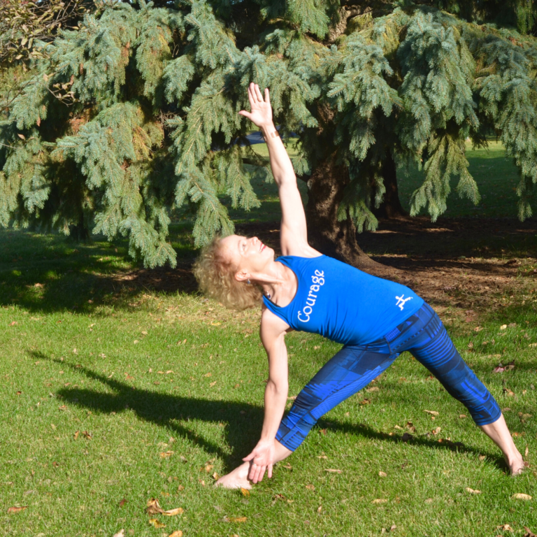 Suspension Yoga™ E-Book – The Flying Yogi